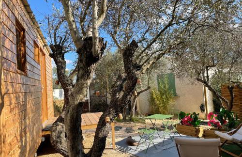 La Tiny House des Oliviers et son jacuzzi - Foto 22