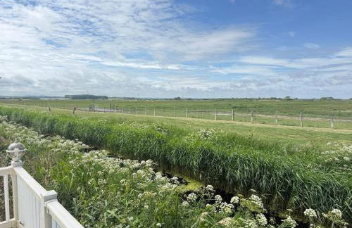 The Whitstable Healing Spot - Foto 10