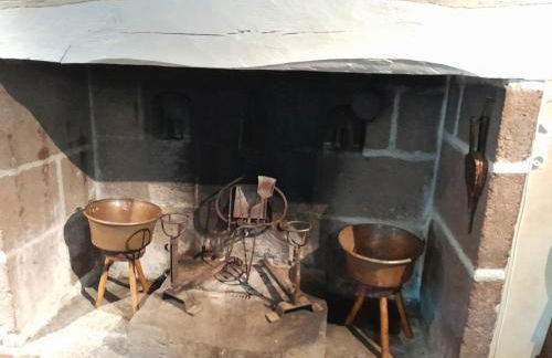 Nouveau - Maison Nierveze proche Lioran - Photo 30