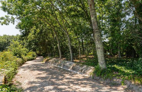 Casa do Pomar - Manor House - Foto 44