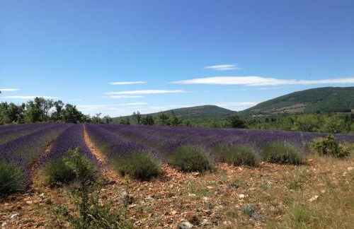 A l'Ombre de la Dame - Foto 37