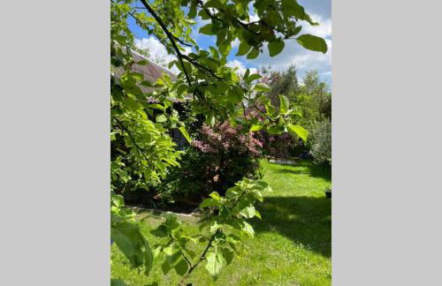 Domek w Sitnie - Foto 18