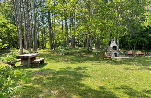 Apartment Benky Pican - Foto 29