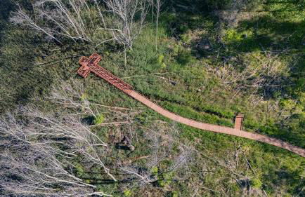 The Rushes - Foto 77