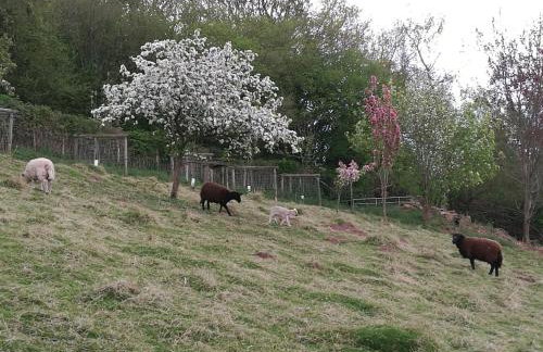 Long Barn Wales - Foto 19