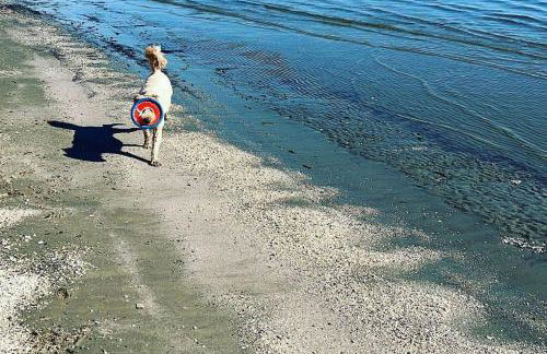 Washington's Retreat - Foto 49