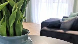 Plażowa Park Apartamenty - Foto 3