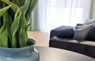 Plażowa Park Apartamenty - Foto 3