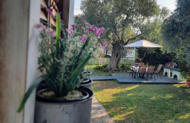 Villa Elia - Foto 14