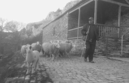 Casa do Moleiro - Foto 43