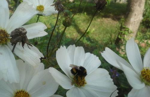 Gutshaus Buberow - Haupthaus - für Seminare & Gruppen - Foto 19