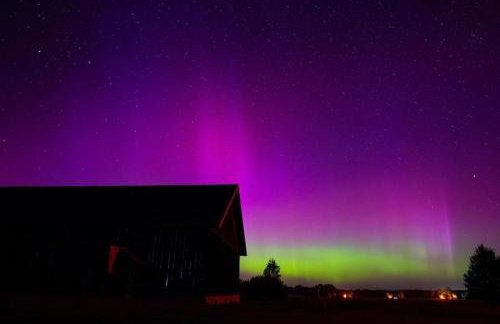 Siedlisko Wilczyny - Foto 10