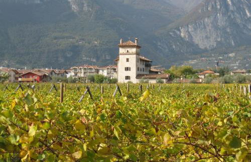 Residence La Colombera - Foto 75