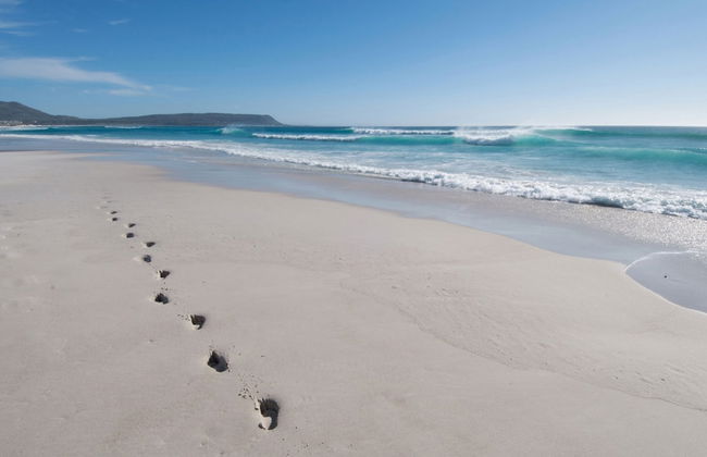 Colona Castle - Foto 77