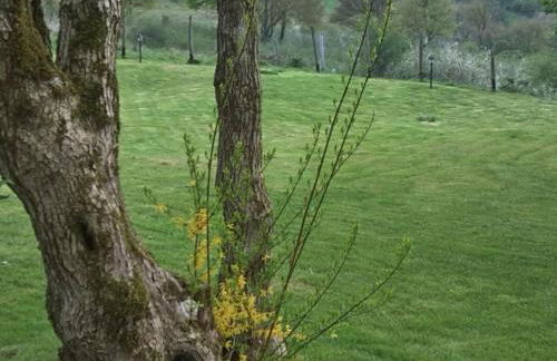 Agriturismo La Guinza - Pool & Relax - Foto 62