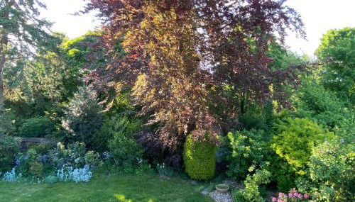 Apartment mit zwei Schlafzimmern - Foto 5, Garden view