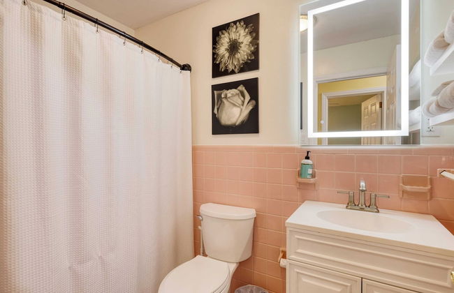 Asheville Sunset 10min to Asheville + Ping Pong - Foto 29