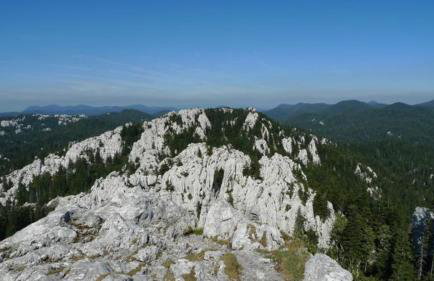 Apartments Nino - Foto 29