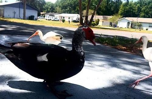 Lakeside retreat - 3 Bedroom, 2 Bathroom house by the lake - Foto 28