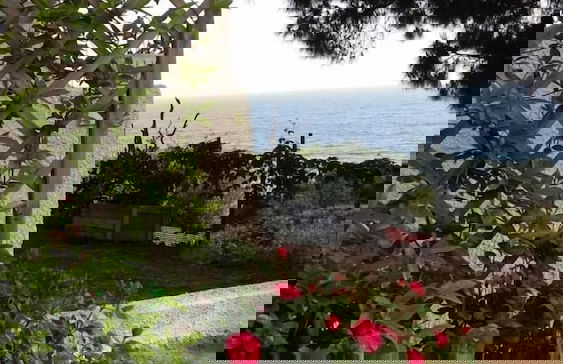 Maison Sainte Marie Holiday Accomodation - Foto 15