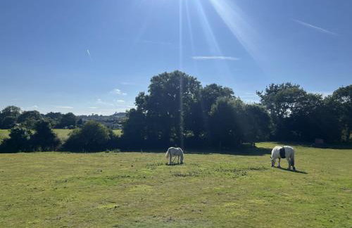 Aval Dor Barn, Hot Tub, Pet Friendly - Foto 24