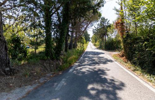 Bio Fattoria Mula D'Oro - biofattoriamuladoro it - Organic Food, Nature & Relax - Foto 47