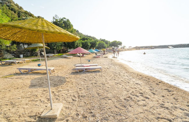 Bodrum Bargilya Villaları - Foto 38