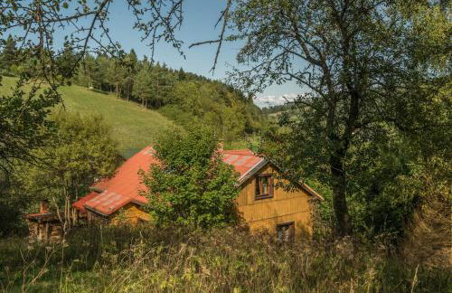 Kałamunka - Foto 74