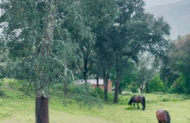 Casa d' Além Turismo e Natureza - Refúgio do Bosque - Foto 9
