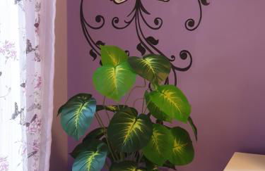 Magnolia House - Photo 38