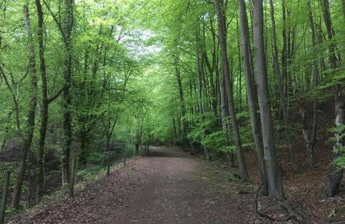 1 Bed in Cinderford oc-73633 - Photo 22