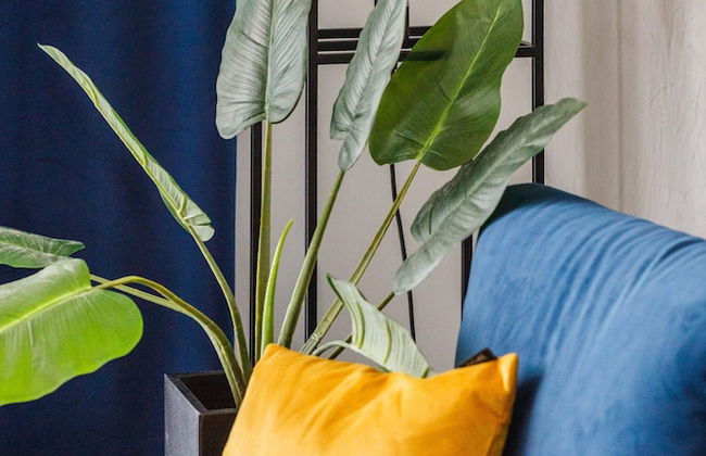 Rozana Zieleniewo Apartment by Renters - Photo 12