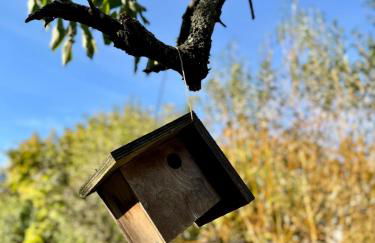 La Maison d'Eugène, Rennes centre - Photo 30