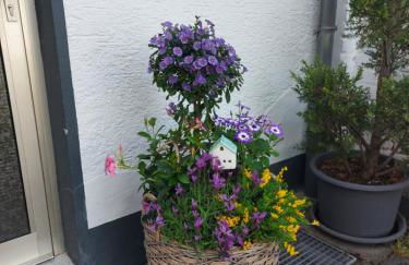 Schönes Haus mit großem Garten - Foto 30