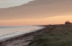 Chez Emile - Foto 25