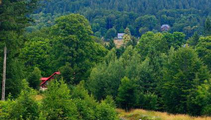 Apartament Górski Widok - Foto 2