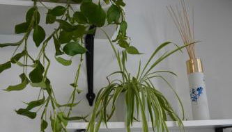 Charmant Appartement au Pré - Foto 4