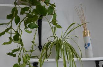 Charmant Appartement au Pré - Foto 4