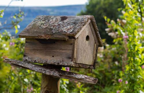 Brecon Beacons Old Vicarage, stunning garden & views - Foto 48