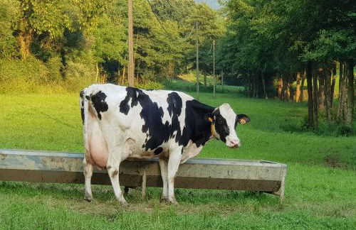 Zubeltzu Torre - Photo 12