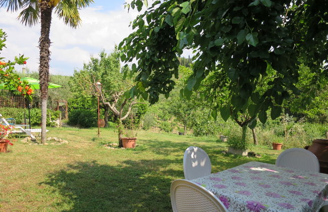 3 bedroom House in Certaldo with swimming pool and garden - Photo 25