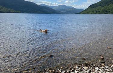 Lomond View Lodge - Foto 18