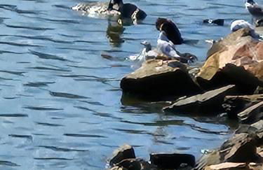 Kerkini's Harmony House - Foto 35