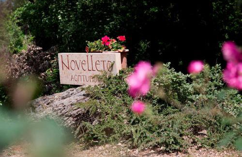 Agriturismo Novelleto - Foto 15
