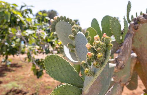 Villa Gina - Foto 80