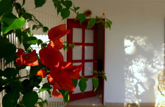 Red Door Apartments - Foto 10