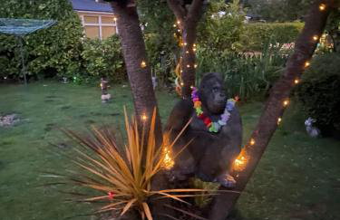 The Dog House - Foto 3