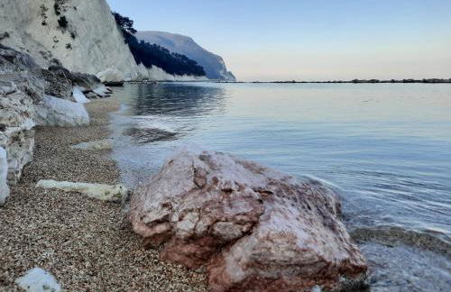 Il Balcone sul Conero - Photo 13