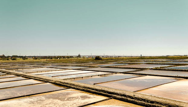 Aveiro Beaches Tour - Foto 3