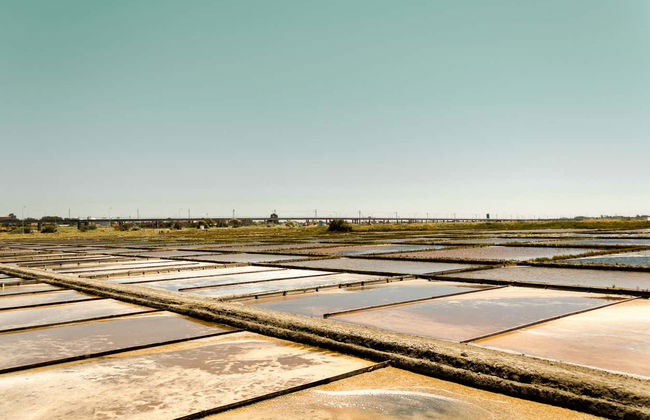 Aveiro Beaches Tour - Foto 3